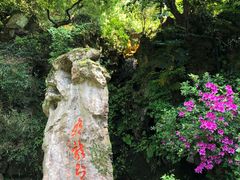 -杭州黄龙洞