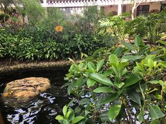 -晓港公园