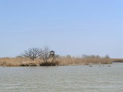 -盐城丹顶鹤湿地生态旅游区