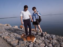 -合肥滨湖国家森林公园