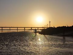 -南汇嘴观海公园