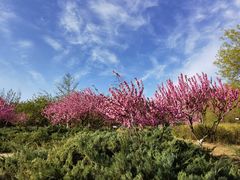 -北京西山国家森林公园