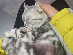 -极木²邸 人与宠物·互动社区
