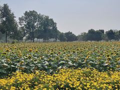 -中国天府农业博览园