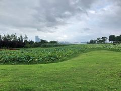 -苏州金鸡湖大酒店