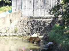 -宁波野生动物园
