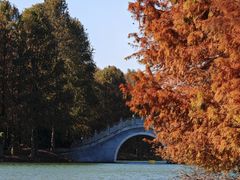 -上海海湾国家森林公园