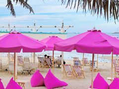 -巨鹏飞梦幻海岸