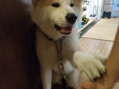 -YCHL Studios健身工作室(市二宫店)