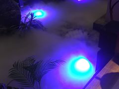 -绿茶餐厅(领展购物广场·中关村店)