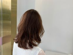 -艾美丽