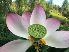 -全国青少年井冈山革命传统教育基地