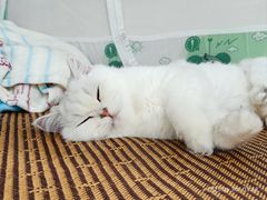 -堤角公园