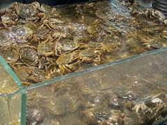 -半岛听涛蒸汽海鲜自助(K11店)
