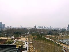 -桃花岛公园
