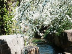 -中国茶叶博物馆(双峰馆区)