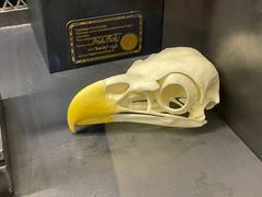 -drivepro(三里屯店)