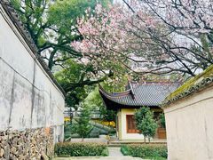 -阿育王寺