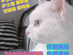 -秦唐一号西安菜馆(钟楼店)