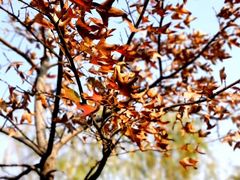 -艾溪湖湿地公园