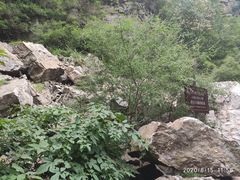 -九龙潭景区