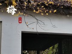 -惠山古镇·寄畅园