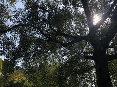 -国恩寺