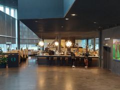 -冰岛阴茎博物馆