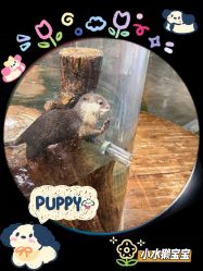 -Zoolung Zoolung动物主题公园(海信广场店)