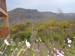 -塞罕坝国家级自然保护区