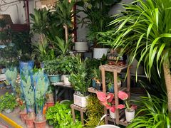 -循礼门鲜花花市(武汉循礼门店)