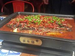 香辣味烤鱼，-鱼乐圈烤鱼餐厅(富尔沃·财富街店)