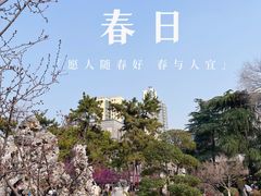 -莫愁湖公园