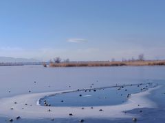 -野鸭湖国家湿地公园