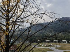 -重庆南山海昌汤都