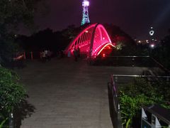 -金鸡山公园