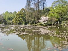-杭州植物园