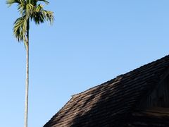 -曼丢傣家古寨