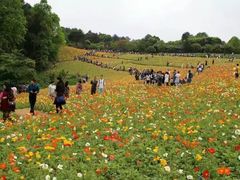 -保利石象湖景区