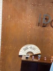 -IDOL-PLUS