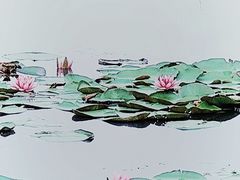 -白鹭洲公园