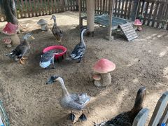 -三亚海棠湾万丽度假酒店