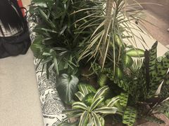 -THE WOODS 简餐 (国贸商城店)