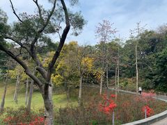 -广州市白云山风景名胜区