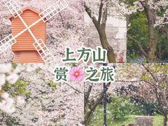 -苏州上方山国家森林公园