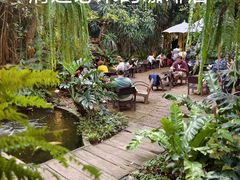 -Fern Forest Cafe