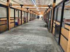 -北京群众马术培训基地