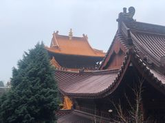 -东天目山风景区