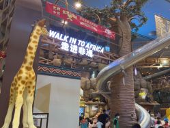 -卡通尼·Safari非洲探索乐园·生日会(金桥国际商业广场店)