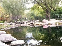-郑东新区湿地公园